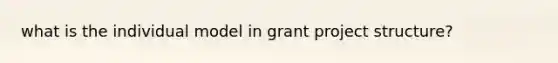 what is the individual model in grant project structure?