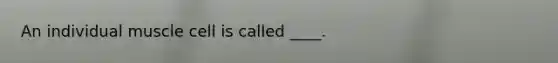 An individual muscle cell is called ____.