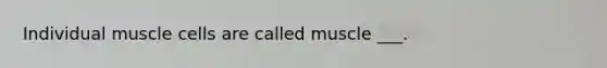 Individual muscle cells are called muscle ___.