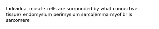 Individual muscle cells are surrounded by what connective tissue? endomysium perimysium sarcolemma myofibrils sarcomere