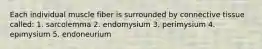 Each individual muscle fiber is surrounded by connective tissue called: 1. sarcolemma 2. endomysium 3. perimysium 4. epimysium 5. endoneurium