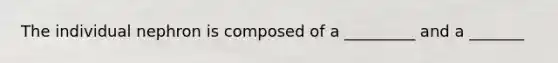 The individual nephron is composed of a _________ and a _______