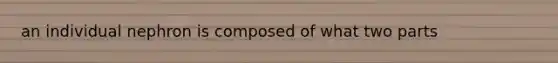 an individual nephron is composed of what two parts
