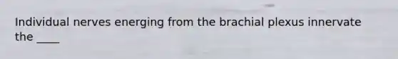 Individual nerves energing from the brachial plexus innervate the ____