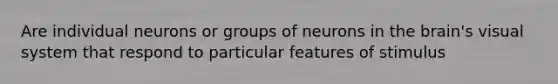 Are individual neurons or groups of neurons in the brain's visual system that respond to particular features of stimulus