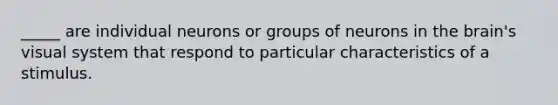 _____ are individual neurons or groups of neurons in <a href='https://www.questionai.com/knowledge/kLMtJeqKp6-the-brain' class='anchor-knowledge'>the brain</a>'s visual system that respond to particular characteristics of a stimulus.