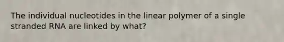 The individual nucleotides in the linear polymer of a single stranded RNA are linked by what?