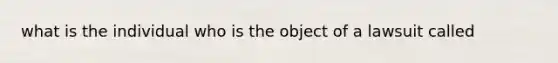 what is the individual who is the object of a lawsuit called