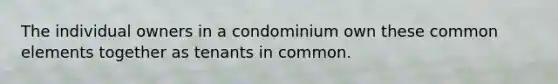 The individual owners in a condominium own these common elements together as tenants in common.