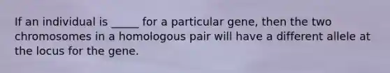 If an individual is _____ for a particular gene, then the two chromosomes in a homologous pair will have a different allele at the locus for the gene.