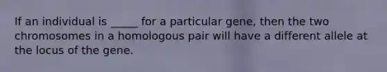 If an individual is _____ for a particular gene, then the two chromosomes in a homologous pair will have a different allele at the locus of the gene.