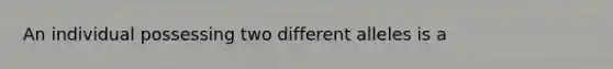 An individual possessing two different alleles is a