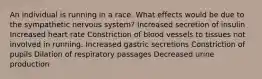 An individual is running in a race. What effects would be due to the sympathetic nervous system? Increased secretion of insulin Increased heart rate Constriction of blood vessels to tissues not involved in running. Increased gastric secretions Constriction of pupils Dilation of respiratory passages Decreased urine production