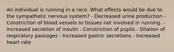 An individual is running in a race. What effects would be due to the sympathetic nervous system? - Decreased urine production - Constriction of blood vessels to tissues not involved in running. - Increased secretion of insulin - Constriction of pupils - Dilation of respiratory passages - Increased gastric secretions - Increased heart rate