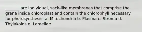 _______ are individual, sack-like membranes that comprise the grana inside chloroplast and contain the chlorophyll necessary for photosynthesis. a. Mitochondria b. Plasma c. Stroma d. Thylakoids e. Lamellae