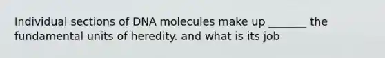 Individual sections of DNA molecules make up _______ the fundamental units of heredity. and what is its job