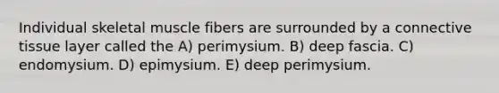 Individual skeletal muscle fibers are surrounded by a connective tissue layer called the A) perimysium. B) deep fascia. C) endomysium. D) epimysium. E) deep perimysium.