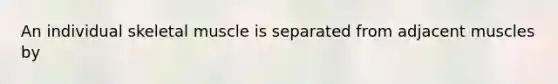 An individual skeletal muscle is separated from adjacent muscles by