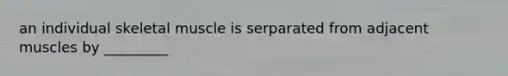 an individual skeletal muscle is serparated from adjacent muscles by _________