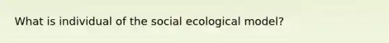 What is individual of the social ecological model?