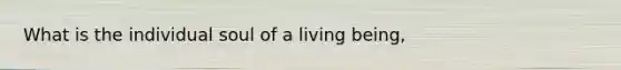 What is the individual soul of a living being,