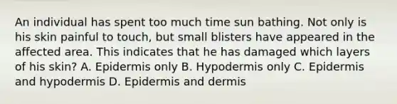 An individual has spent too much time sun bathing. Not only is his skin painful to touch, but small blisters have appeared in the affected area. This indicates that he has damaged which layers of his skin? A. Epidermis only B. Hypodermis only C. Epidermis and hypodermis D. Epidermis and dermis