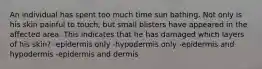 An individual has spent too much time sun bathing. Not only is his skin painful to touch, but small blisters have appeared in the affected area. This indicates that he has damaged which layers of his skin? -epidermis only -hypodermis only -epidermis and hypodermis -epidermis and dermis