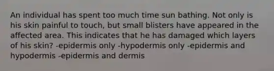 An individual has spent too much time sun bathing. Not only is his skin painful to touch, but small blisters have appeared in the affected area. This indicates that he has damaged which layers of his skin? -epidermis only -hypodermis only -epidermis and hypodermis -epidermis and dermis