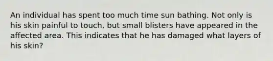 An individual has spent too much time sun bathing. Not only is his skin painful to touch, but small blisters have appeared in the affected area. This indicates that he has damaged what layers of his skin?