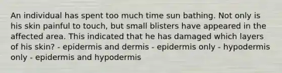 An individual has spent too much time sun bathing. Not only is his skin painful to touch, but small blisters have appeared in the affected area. This indicated that he has damaged which layers of his skin? - epidermis and dermis - epidermis only - hypodermis only - epidermis and hypodermis