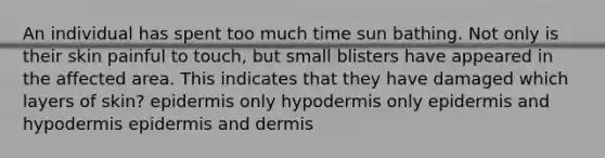 An individual has spent too much time sun bathing. Not only is their skin painful to touch, but small blisters have appeared in the affected area. This indicates that they have damaged which layers of skin? epidermis only hypodermis only epidermis and hypodermis epidermis and dermis