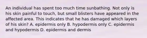 An individual has spent too much time sunbathing. Not only is his skin painful to touch, but small blisters have appeared in the affected area. This indicates that he has damaged which layers of his skin? A. epidermis only B. hypodermis only C. epidermis and hypodermis D. epidermis and dermis