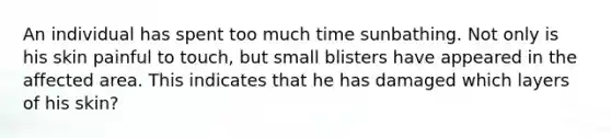 An individual has spent too much time sunbathing. Not only is his skin painful to touch, but small blisters have appeared in the affected area. This indicates that he has damaged which layers of his skin?