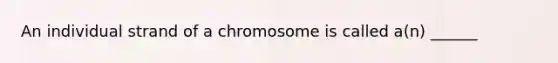 An individual strand of a chromosome is called a(n) ______