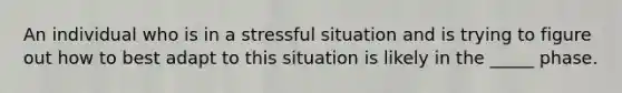 An individual who is in a stressful situation and is trying to figure out how to best adapt to this situation is likely in the _____ phase.