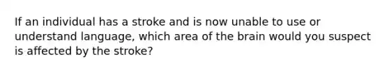 If an individual has a stroke and is now unable to use or understand language, which area of the brain would you suspect is affected by the stroke?