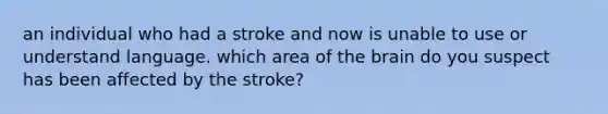 an individual who had a stroke and now is unable to use or understand language. which area of the brain do you suspect has been affected by the stroke?