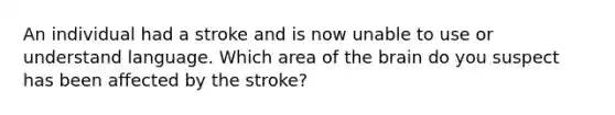 An individual had a stroke and is now unable to use or understand language. Which area of the brain do you suspect has been affected by the stroke?