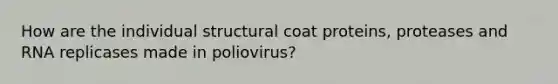 How are the individual structural coat proteins, proteases and RNA replicases made in poliovirus?