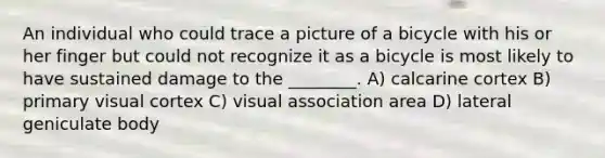 An individual who could trace a picture of a bicycle with his or her finger but could not recognize it as a bicycle is most likely to have sustained damage to the ________. A) calcarine cortex B) primary visual cortex C) visual association area D) lateral geniculate body