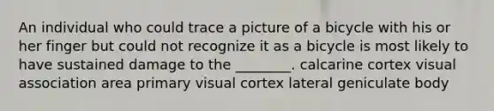 An individual who could trace a picture of a bicycle with his or her finger but could not recognize it as a bicycle is most likely to have sustained damage to the ________. calcarine cortex visual association area primary visual cortex lateral geniculate body