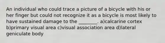 An individual who could trace a picture of a bicycle with his or her finger but could not recognize it as a bicycle is most likely to have sustained damage to the ________. a)calcarine cortex b)primary visual area c)visual association area d)lateral geniculate body