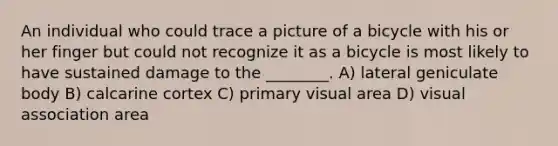 An individual who could trace a picture of a bicycle with his or her finger but could not recognize it as a bicycle is most likely to have sustained damage to the ________. A) lateral geniculate body B) calcarine cortex C) primary visual area D) visual association area