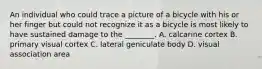 An individual who could trace a picture of a bicycle with his or her finger but could not recognize it as a bicycle is most likely to have sustained damage to the ________. A. calcarine cortex B. primary visual cortex C. lateral geniculate body D. visual association area