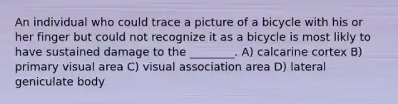 An individual who could trace a picture of a bicycle with his or her finger but could not recognize it as a bicycle is most likly to have sustained damage to the ________. A) calcarine cortex B) primary visual area C) visual association area D) lateral geniculate body