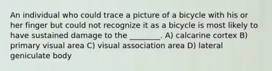 An individual who could trace a picture of a bicycle with his or her finger but could not recognize it as a bicycle is most likely to have sustained damage to the ________. A) calcarine cortex B) primary visual area C) visual association area D) lateral geniculate body