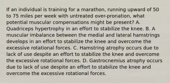 If an individual is training for a marathon, running upward of 50 to 75 miles per week with untreated over-pronation, what potential muscular compensations might be present? A. Quadriceps hypertrophy in an effort to stabilize the knee. B. A muscular imbalance between the medial and lateral hamstrings develops in an effort to stabilize the knee and overcome the excessive rotational forces. C. Hamstring atrophy occurs due to lack of use despite an effort to stabilize the knee and overcome the excessive rotational forces. D. Gastrocnemius atrophy occurs due to lack of use despite an effort to stabilize the knee and overcome the excessive rotational forces.