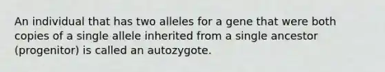 An individual that has two alleles for a gene that were both copies of a single allele inherited from a single ancestor (progenitor) is called an autozygote.