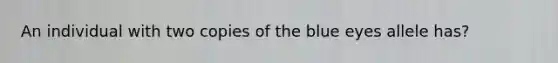 An individual with two copies of the blue eyes allele has?