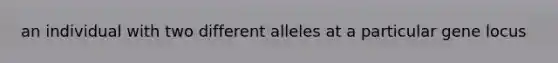 an individual with two different alleles at a particular gene locus